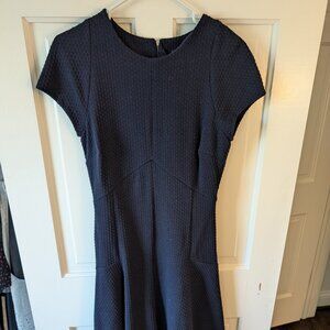 Banana Republic Fit and Flare Navy Dress
